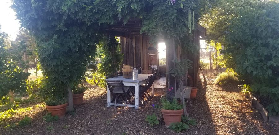 Bonny Doon, California