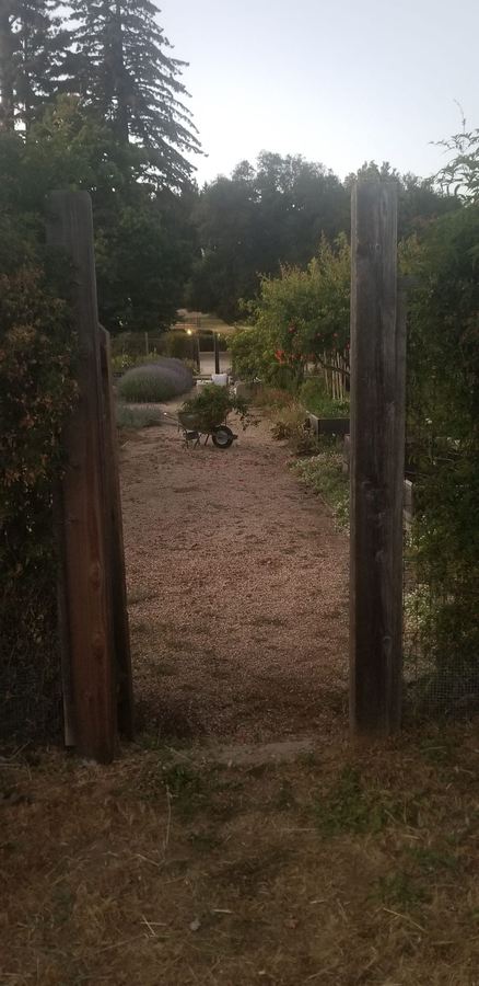 Bonny Doon, California