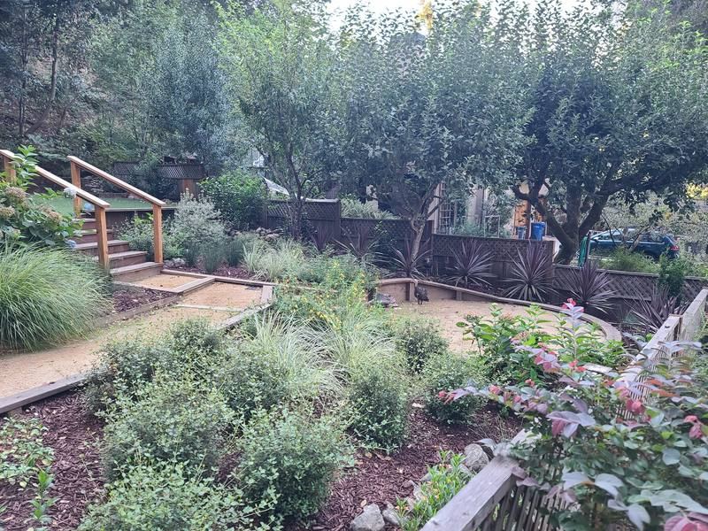 Katelin and Will’s planted front slope with circular seating area and new stairs, September 2025